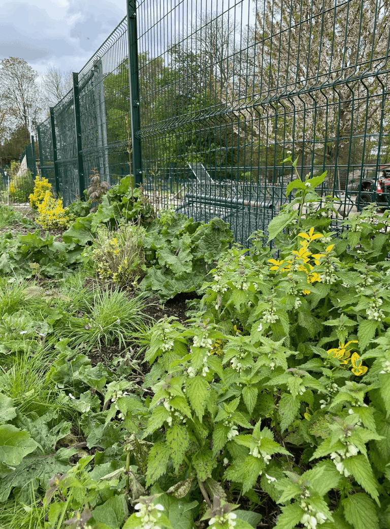 Création d'une plate-bande pour un client de créa'vert