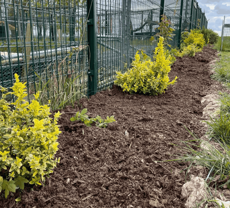 Création d'une plate-bande par créa'vert51