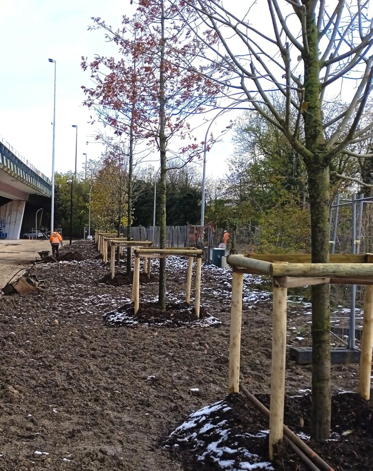 Arbre planté par créavert51 et la SPE